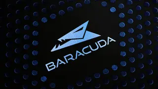 Baracuda Wallpaper 6 Desktop