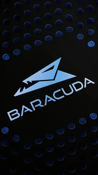 Baracuda Wallpaper 6 Mobile