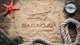 Baracuda Desktop 1