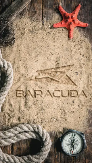 Baracuda Mobile 1