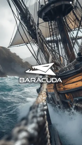 Baracuda Mobile 9