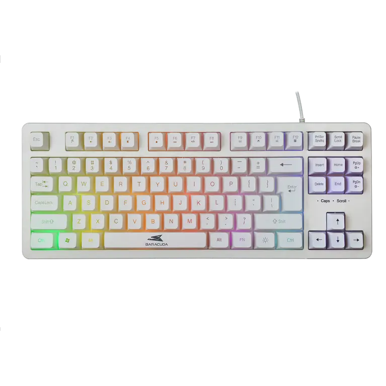 87 tipki Tenkeyless dizajn