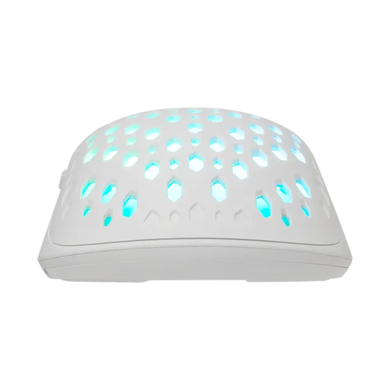 LED 7 boja