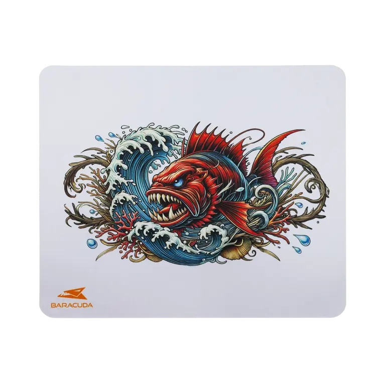 300 x 250 mm