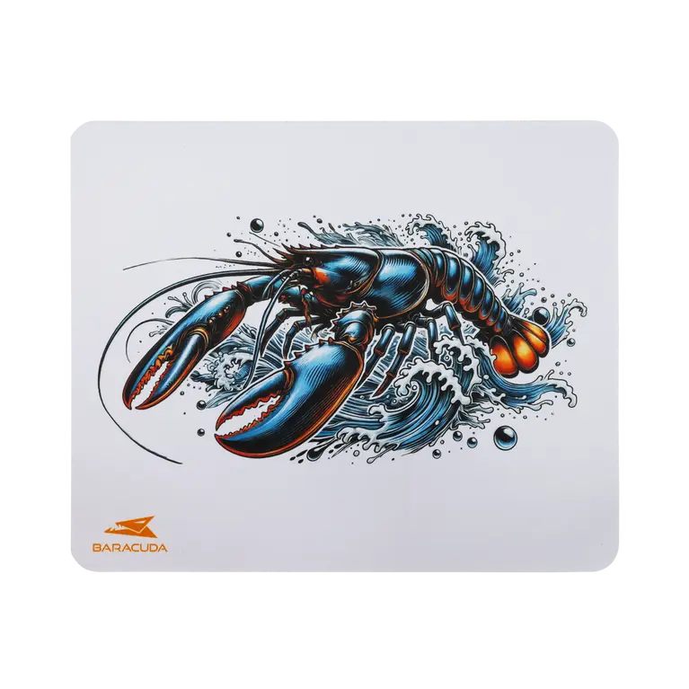 300 x 250 mm