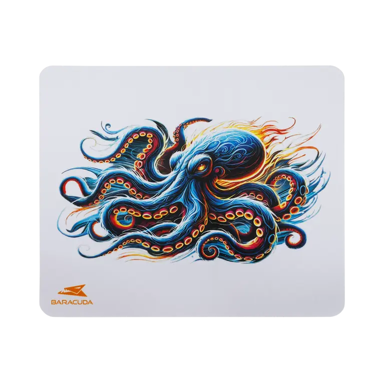300 x 250 mm