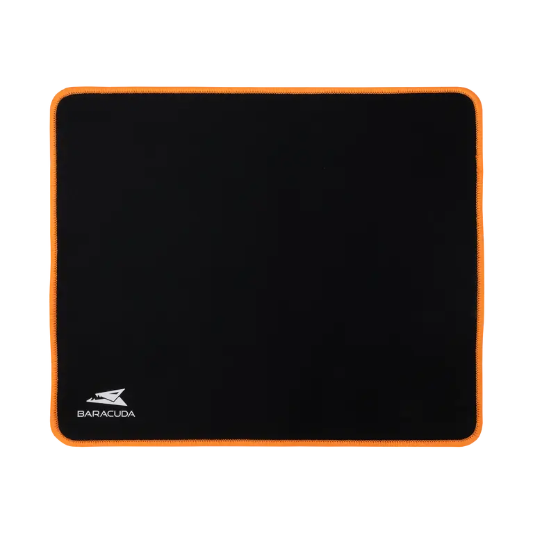 300 x 250 mm