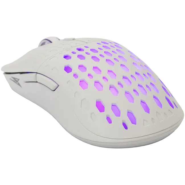 OCTOPUS BIJELI