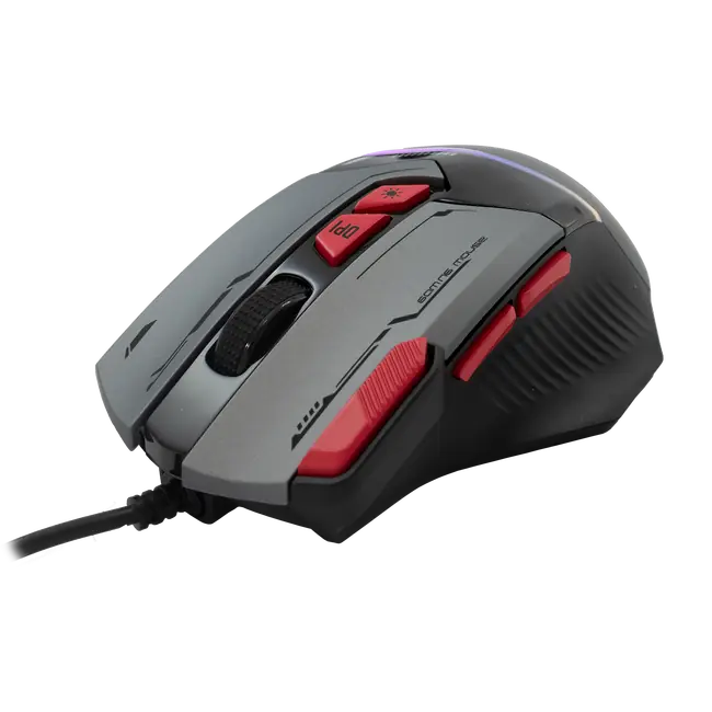 MANTA SIVI