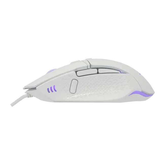 RAPTOR Bijeli