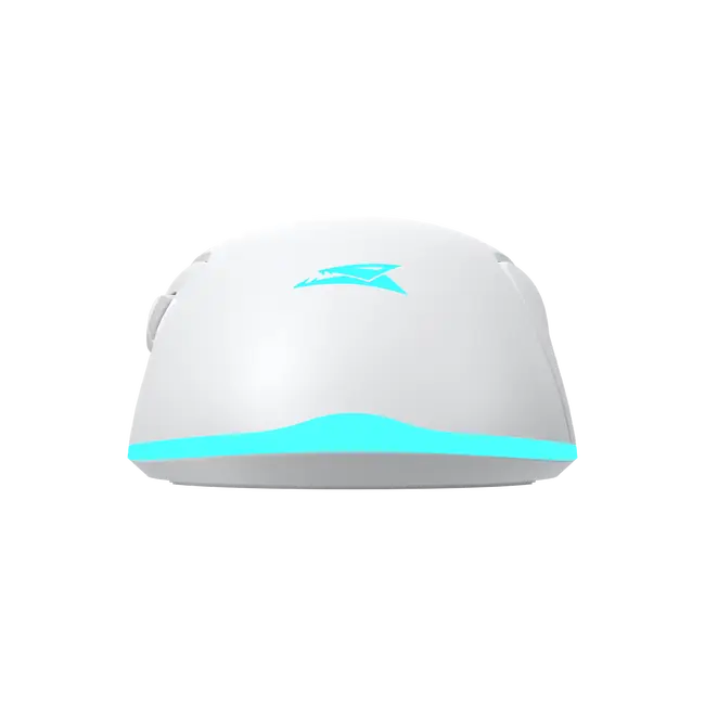 TURTLE BIJELI