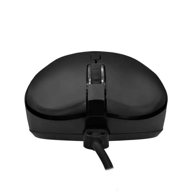 ORCA Crna