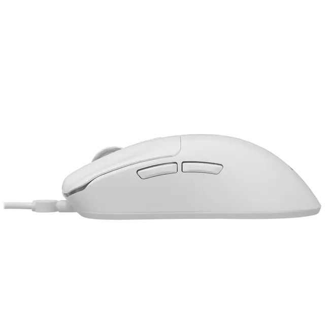 ORCA Bijela