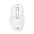 RAPTOR White