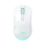 TURTLE White