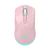 TURTLE Pink