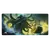 DARKWATER