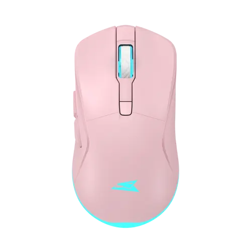 TURTLE ROZA